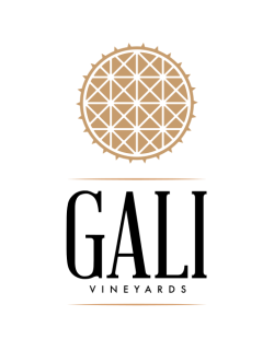 Gali-Logo